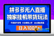 以纯无人直播带货：突破传统，开启电商销售新模式