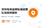 深度剖析：[品牌名]私域电商成功案例背后的营销策略与运营秘诀