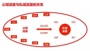 私域流量案例大揭秘：看这些成功范例如何实现惊人增长