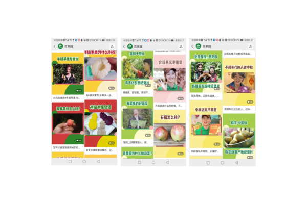 水果私域运营案例 PPT：剖析成功秘诀与实战策略