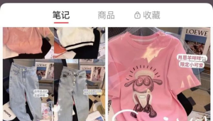 账号批发小红书:寻找优质批发渠道与技巧