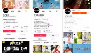 小红书到底是公域流量还是私域流量？一文给你讲清楚