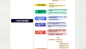 小红书多账号运营秘籍大公开,轻松玩转流量密码!