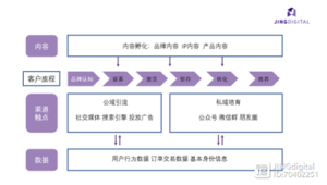 电商私域流量成功案例深度剖析：策略、成效与借鉴启示