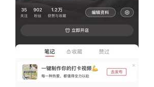 小红书搜账号全攻略!这些方法让你快速找到心仪的TA