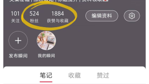 小红书粉丝暴涨秘籍！这些方法让你轻松收获大批追随者