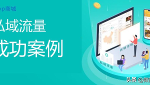 私域运营成功案例揭秘:看这些企业如何实现客户价值最大化