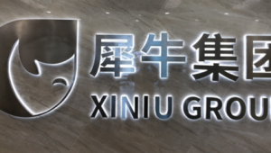 罗古无人直播：突破传统，开启全新直播模式的神秘之旅