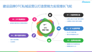 私域电商营销案例：[品牌名]如何实现销量与口碑双丰收