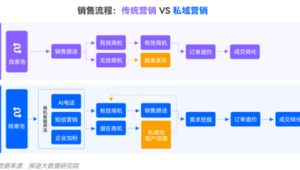 揭秘跨境私域电商成功案例:从0到1的增长密码与实战策略