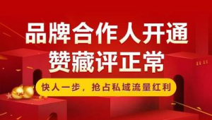 揭秘!小红书私域流量变现的实战玩法与高收益秘诀