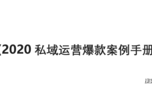 私域变现案例大揭秘：成功之道与策略