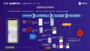 私域流量实战：[品牌名]从零到月销百万的真实逆袭案例