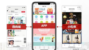 淘宝私域流量运营典范：[品牌名]如何实现流量转化与销售增长