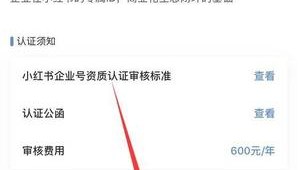 揭秘!小红书认证企业账号的流量密码与运营秘籍