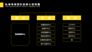 电商私域案例分享及运营策略
