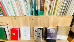 高权重小红书账号出售，粉丝活跃流量优，助你快速开启变现之路