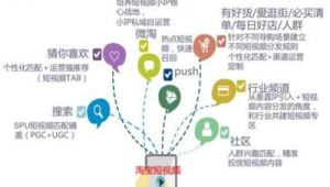 揭秘私域流量经典案例：看这些品牌如何实现惊人增长与转化