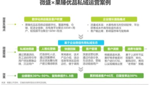 私域流量营销案例深度剖析:策略、成效与启示