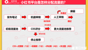 揭秘小红书流量获取机制，掌握这些轻松上热门！