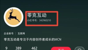 小红书号和小红书id是一回事吗?一文带你搞清楚!