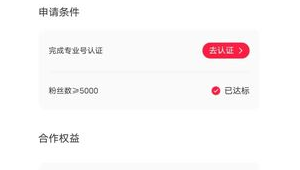 小红书粉丝量与赚钱挂钩?到底多少粉才能开启财富大门?