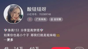 小红书金冠薯账号