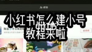 超全！小红书注册账号方法大揭秘，轻松开启你的种草之旅