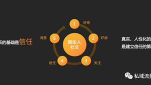 深度剖析：3个私域运营经典案例带来的实战启示