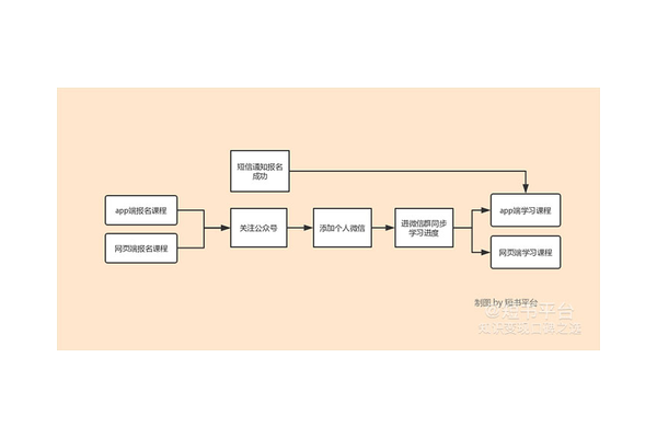 私域案例复盘：从实践中汲取经验与教训