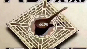 小红书号码吉凶大揭秘，快来看看你的号吧