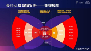 私域流量案例总结:成功经验与实践探索