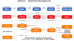 私域运营实战案例大揭秘：从0到1的成功路径与策略分享
