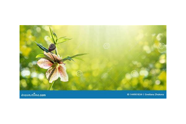 实用引流方法小技巧,助你轻松吸引流量拓展人脉资源