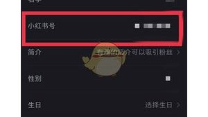 小红书号是否是唯一的呢?