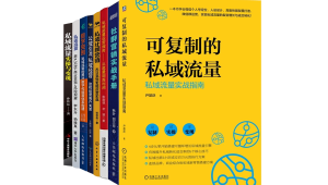 电商私域流量成功典范：[品牌名]如何实现用户裂变与业绩飙升